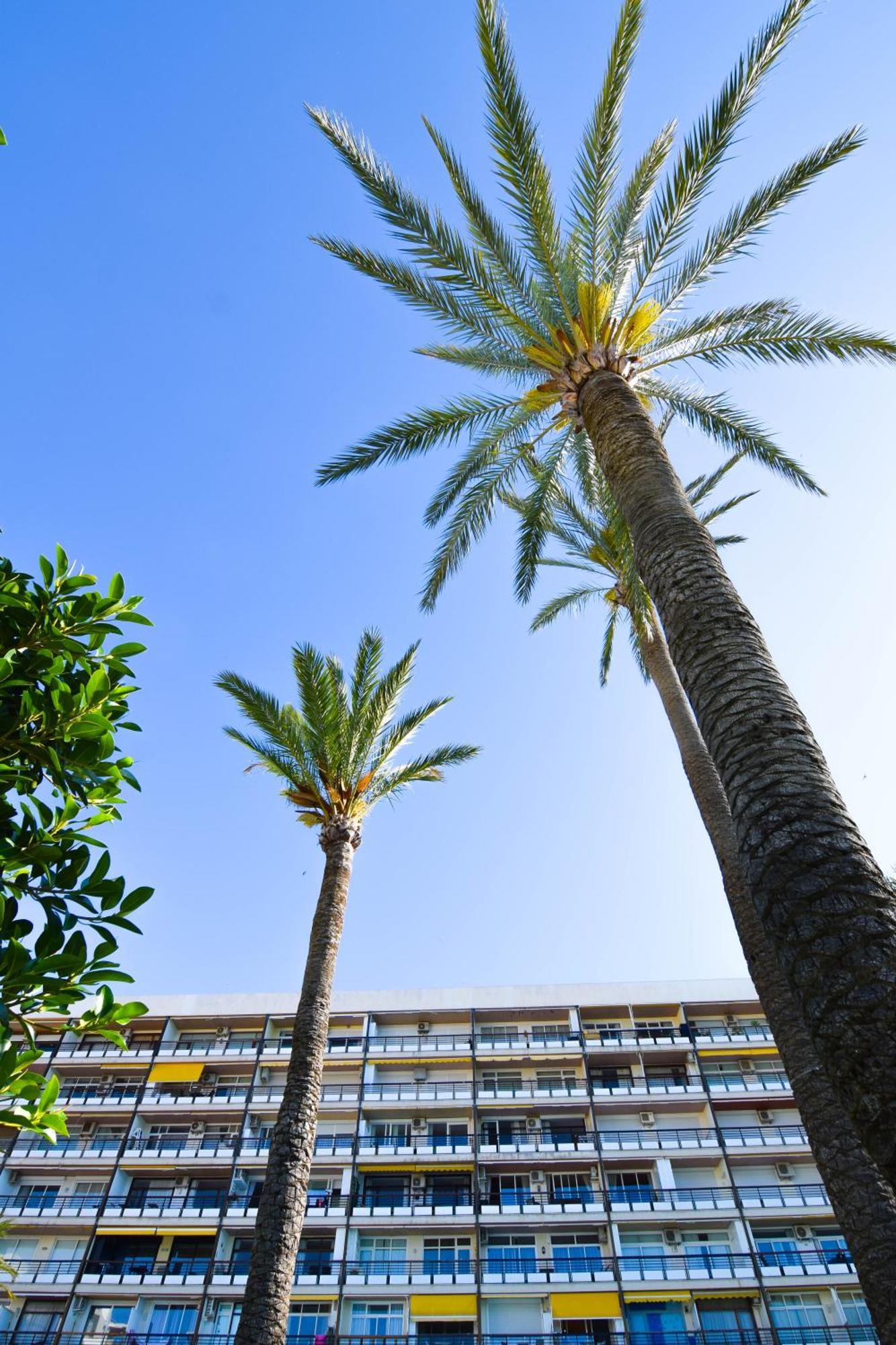 Letmalaga Santa Clara Appartamento